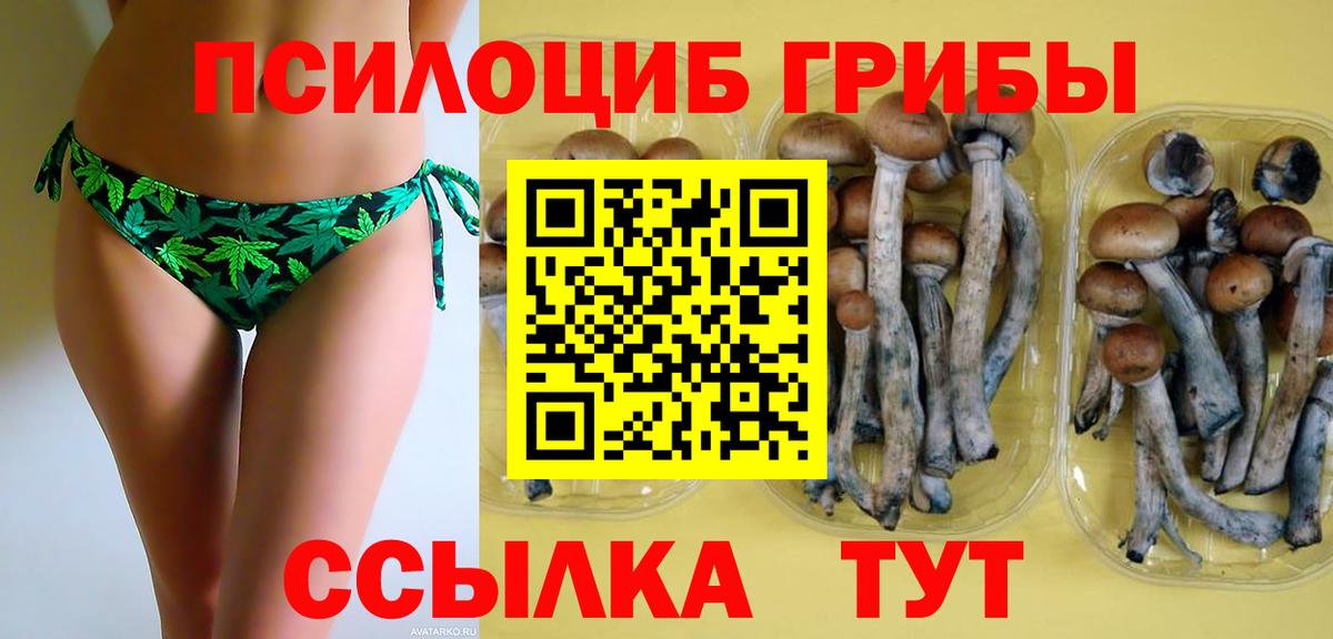 Галлюциногенные грибы Psilocybine cubensis  Вход с VPN  Волжский 